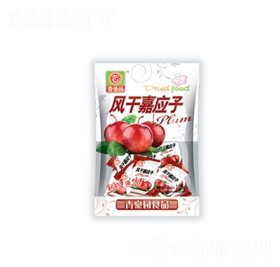 ����@�L�ɼΑ���