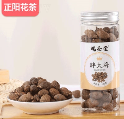 ��ʥ���ִ󺣲�