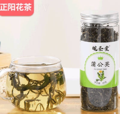 ��ʥ���ѹ�Ӣ��