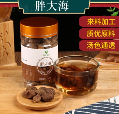 �����ִ󺣲�