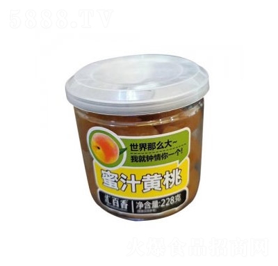 �R������֭�S�����T228g