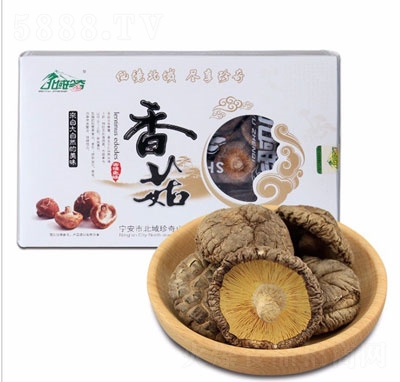 ��������ɽ�侫���Y��