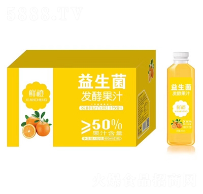 �r���������l(f��)�͏�(f��)�Ϲ�֭���