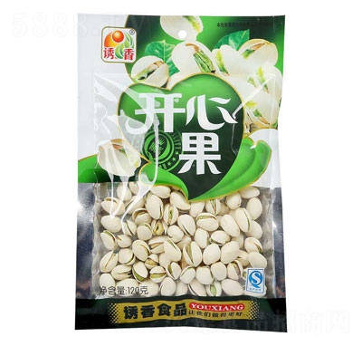 �T���_�Ĺ�120��