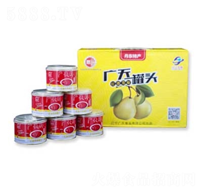 �V��t��ѩ��Y�й��^