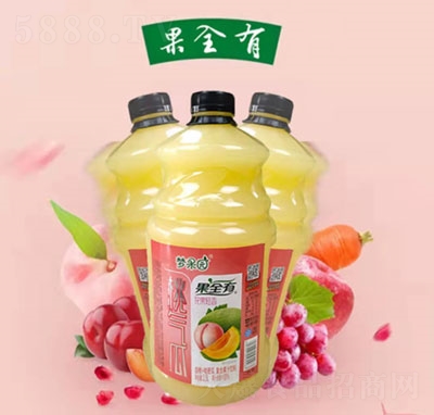 夢果園白桃+哈密瓜復(fù)合果汁飲料（瓶）