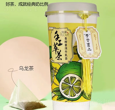 ��������ն�ţ��裨����