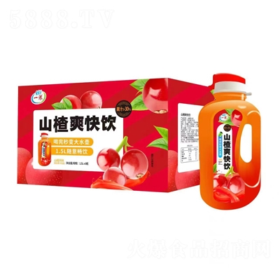 一濃山楂爽快飲山楂風(fēng)味復(fù)合果汁飲品