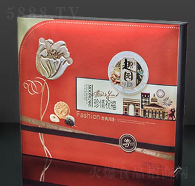 ������Vʽ���