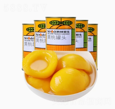 �Xɽ�Ƽ��S�ҹ��^425�ˡ�5���خa(ch��n)�決��۲�