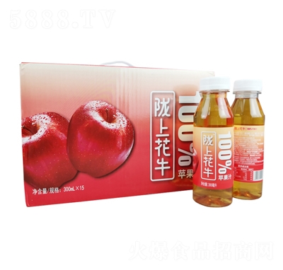 �]�ϻ�ţ�O��֭300mlX15ƿ��֭������̴���