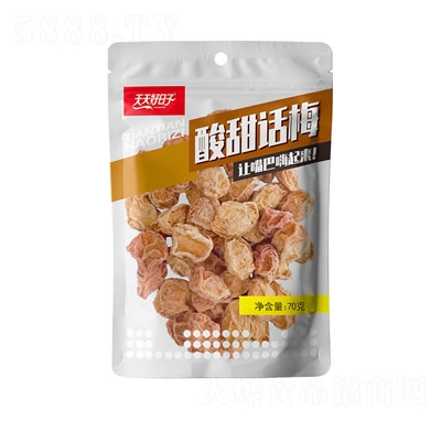 ���������70������Ԓ÷���e�������T