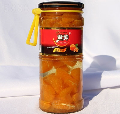 �������ӹ��^