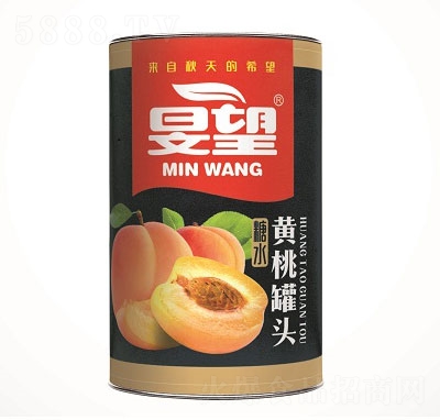 �F���S�ҹ��^