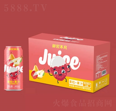 ��Ҋ(ji��n)��������+��֭��֦ѩ���ζ480mlX10��