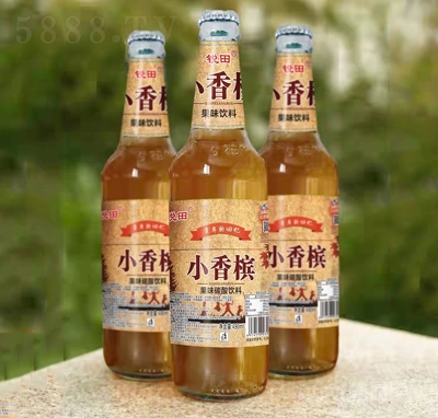 �J��С�㙉̼�������ˮ����ƿ��ˮ�������490ml