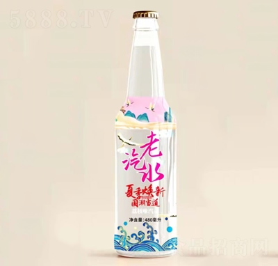 �R������ˮ�ļ�������̼�����480ml��֦ζ