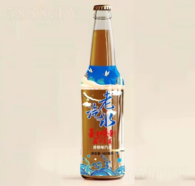 �R������ˮ�ļ�������̼�����480ml�㙉ζ
