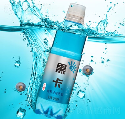 �ڿ�������ζ��ˮ̼������ļ���ˮ