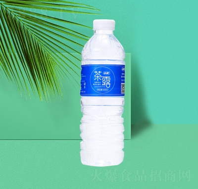 ���ë���¶���b���ˮ�VȪˮ520ml