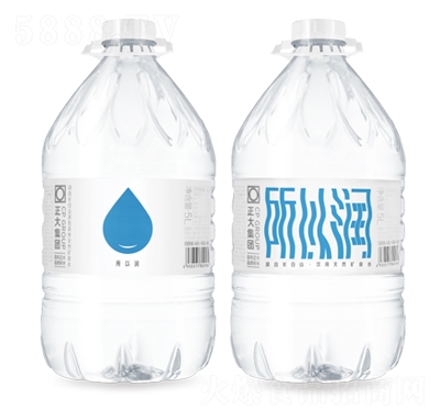 ����ʳƷ���ԝ���Ȼ�VȪˮ5L�ļ���֭������̴���