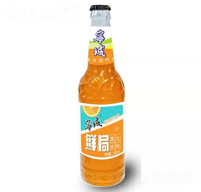 ���\(ch��ng)�㙉ζ��ˮ���̴���̼�����500ml��ζ