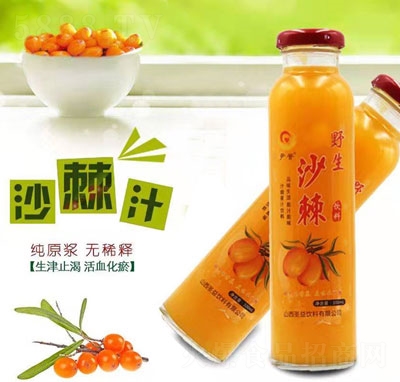 ���u(y��)Ұ��ɳ��֭����ļ����