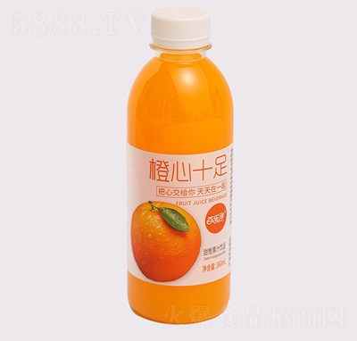 �٘����֭��ϳ���ʮ���֭�ļ����360ml
