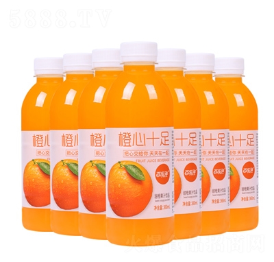 �٘����֭��ϳ���ʮ���֭�ļ����360ml����