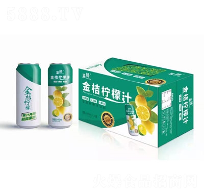 ���v��ۙ���֭490ml