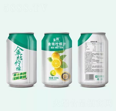���v��ۙ���֭310ml