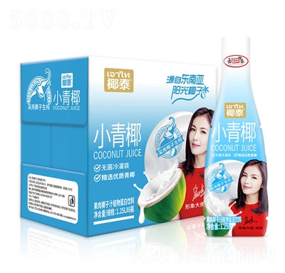 椰泰小青椰果肉椰子汁植物蛋白飲料椰汁招商