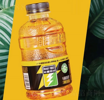 ����ɭ��ţ����������Ϲ���������̣�ƿ��