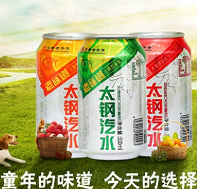 ̫���ˮ̼��������̴���ƿ�b310ml