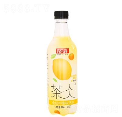 �٘���聕��ˮ̼��������̽�ۙ���ζ480ml