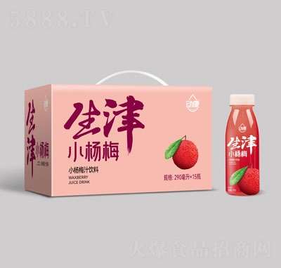 �ӿ�С��÷֭����ļ����290mlX15