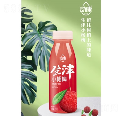 ��(d��ng)��С��÷֭����ļ���֭���