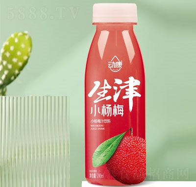 �ӿ�С��÷֭����ļ����