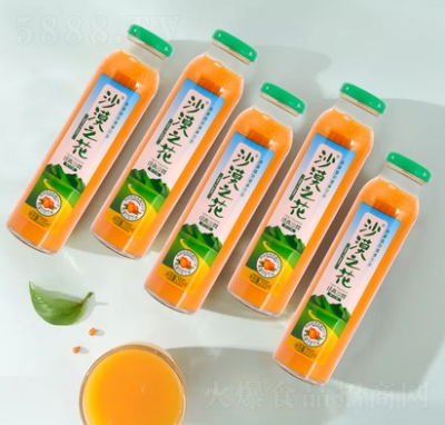 沙漠之花國產(chǎn)沙棘汁網(wǎng)紅果汁活力飲料整箱內(nèi)蒙特產(chǎn)野山沙棘瓶裝