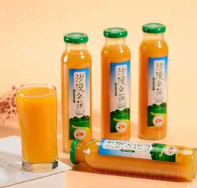 沙漠之花國產(chǎn)沙棘汁網(wǎng)紅果汁活力飲料