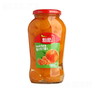 ���½��ӹ��^528gˮ�����T����ʳƷ���̴���