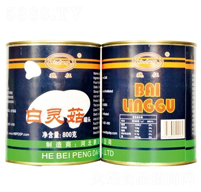 �ҼҼt���`�����^800�����̴���