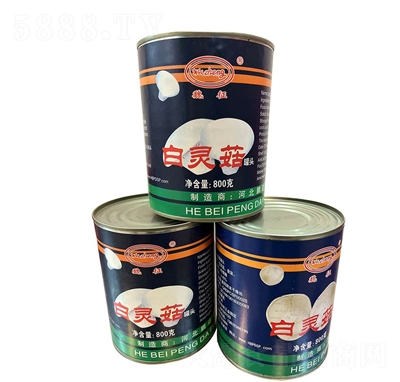 �ҼҼt���`�����^800�˹������̴���