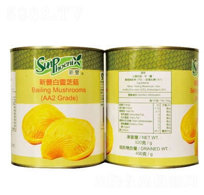 �ҼҼt���`�����^400�����̴���