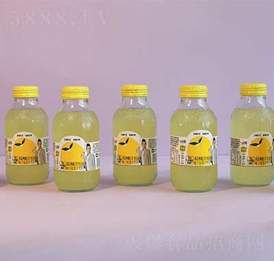 �U���p��֭����ζ��֭����̳�؛Դ300ml