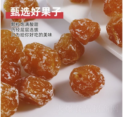 ����L��������÷�������T��ʳ