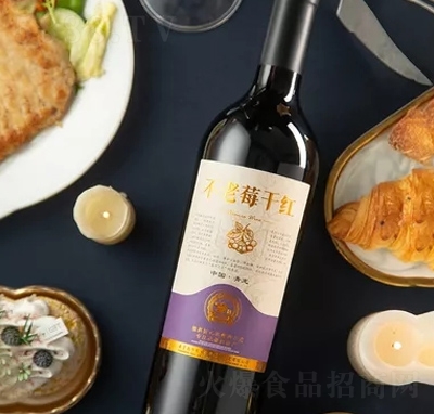 ����ݮ�ɼt�����