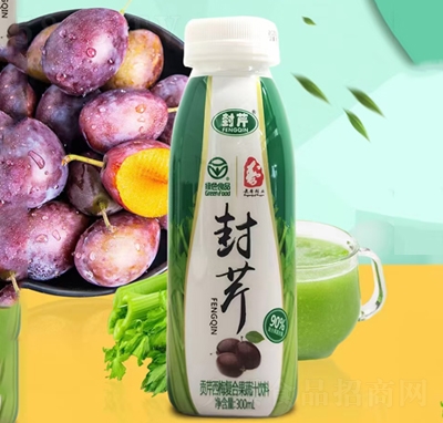 ����ؕ����÷��(f��)�Ϲ���֭���300ml