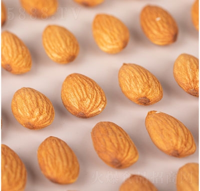 �����°͵�ľ�ʸɹ���(ji��n)����ʳ