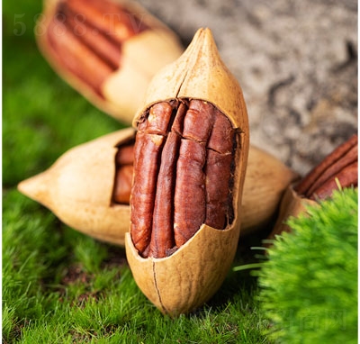 �����±̸����ɹ���(ji��n)����ʳ����